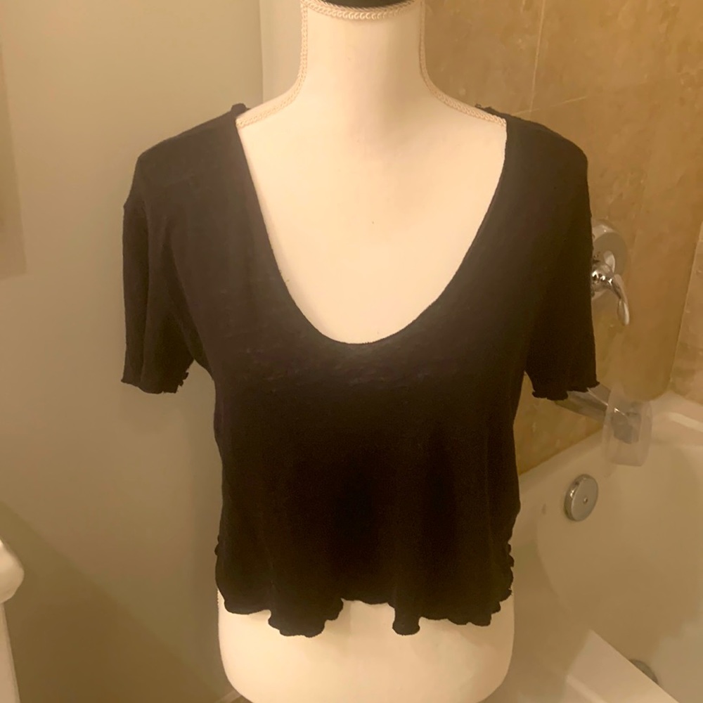 Zara Semi-Sheer Crop Top